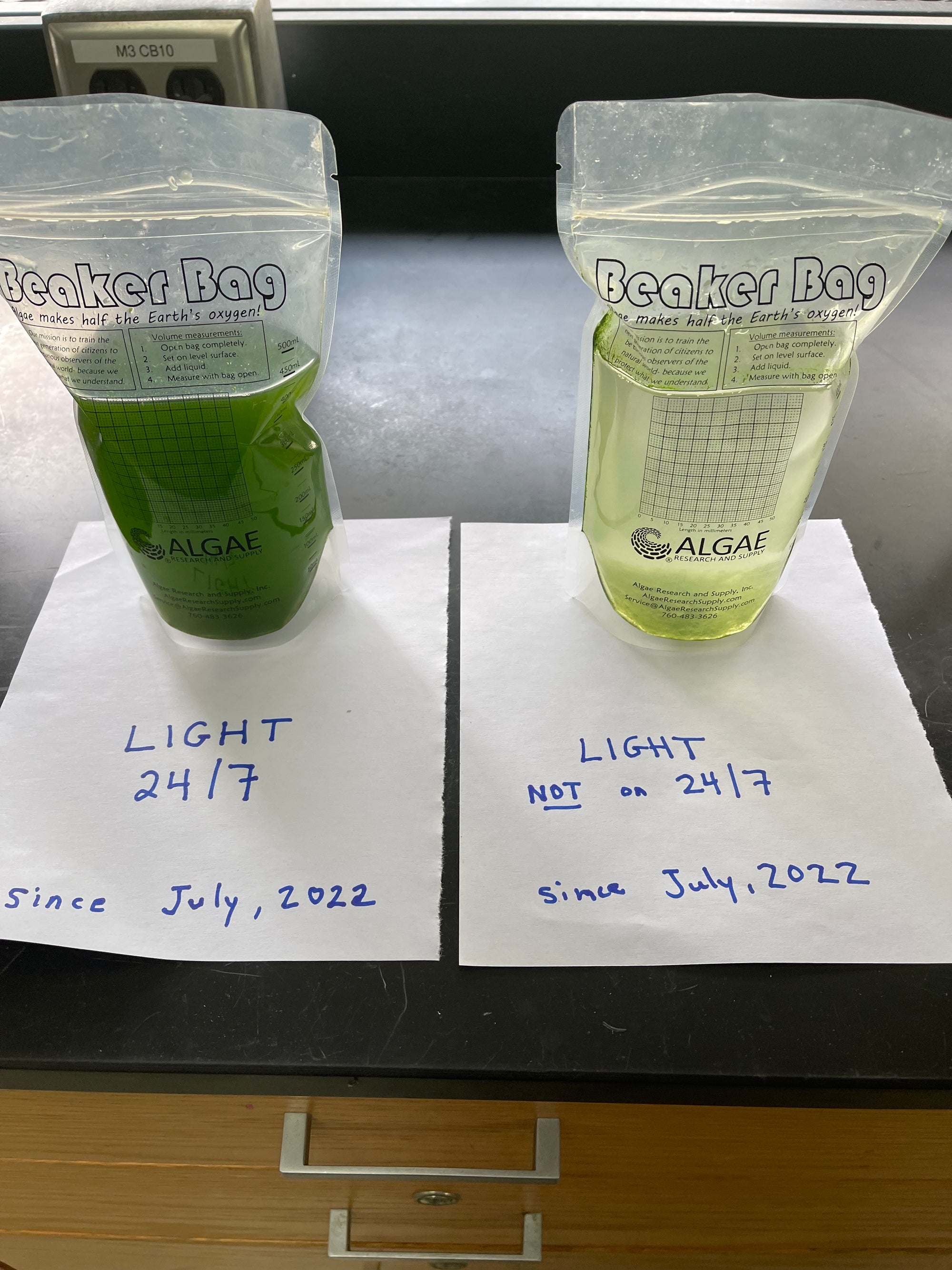 Teacher Project:  Does Light Affect Algae Growth?