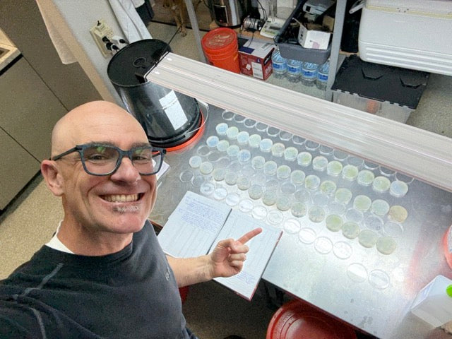 Discovering new species of algae