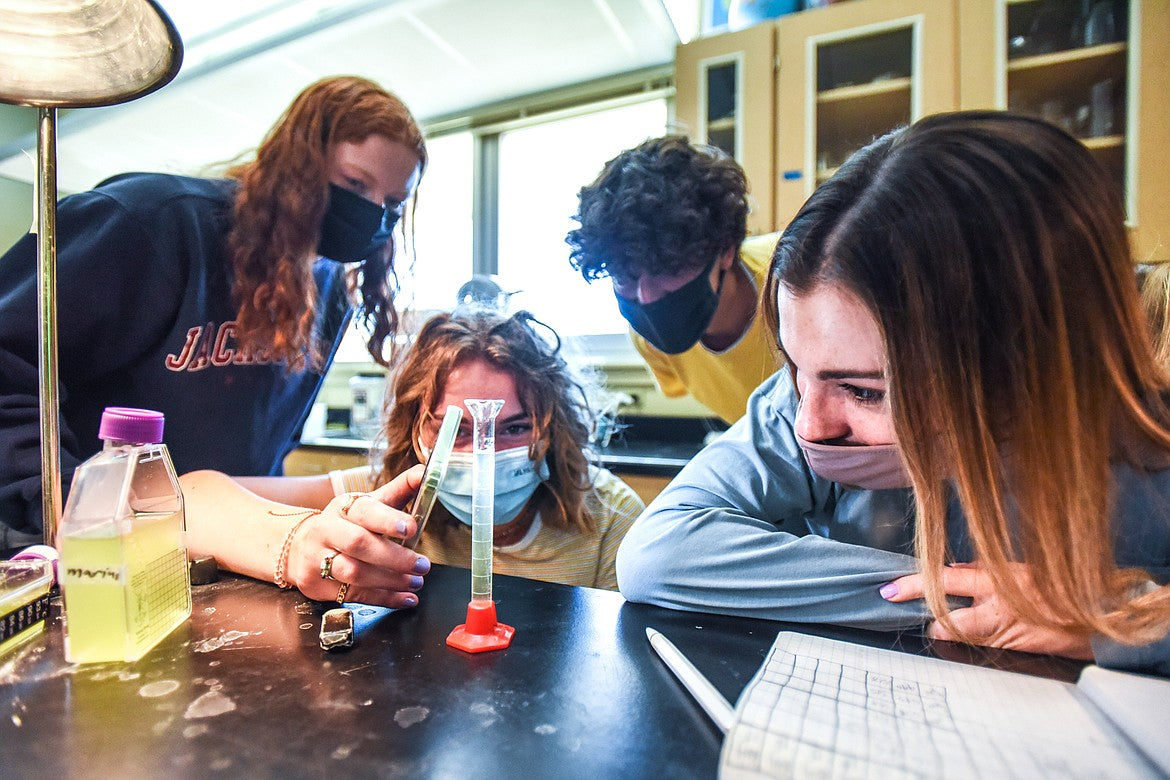 Brainy Briny's used in High School AP Class!