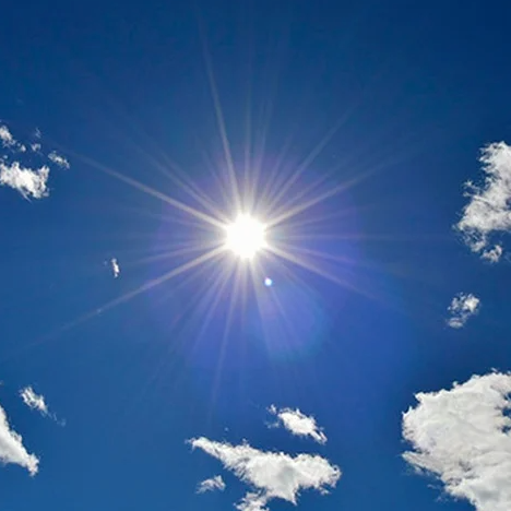 How much light do I need for my algae?