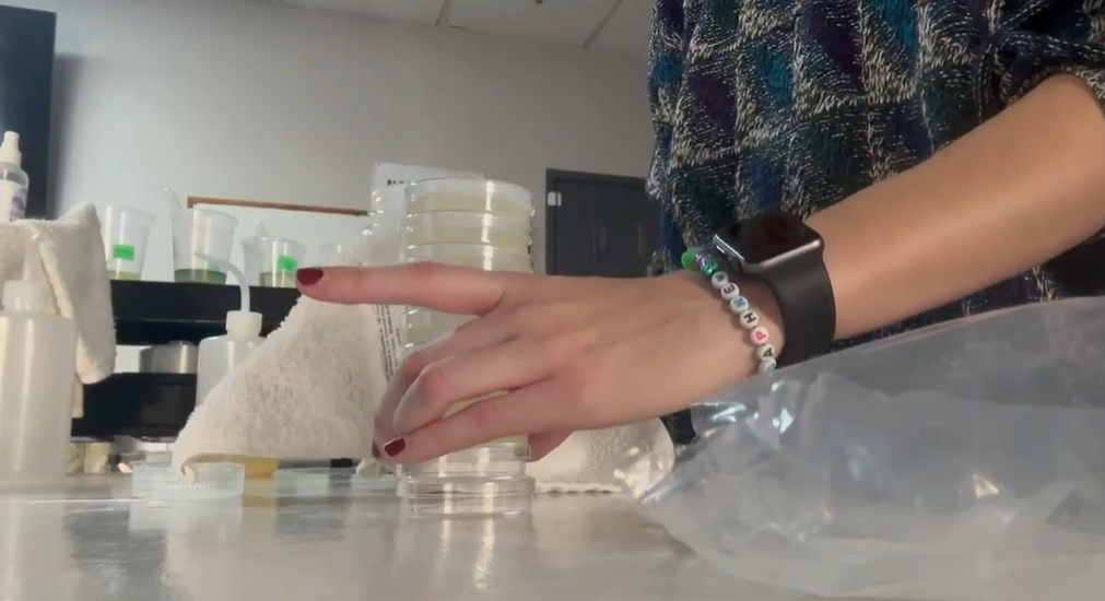 Heating Agar and Pouring Plates