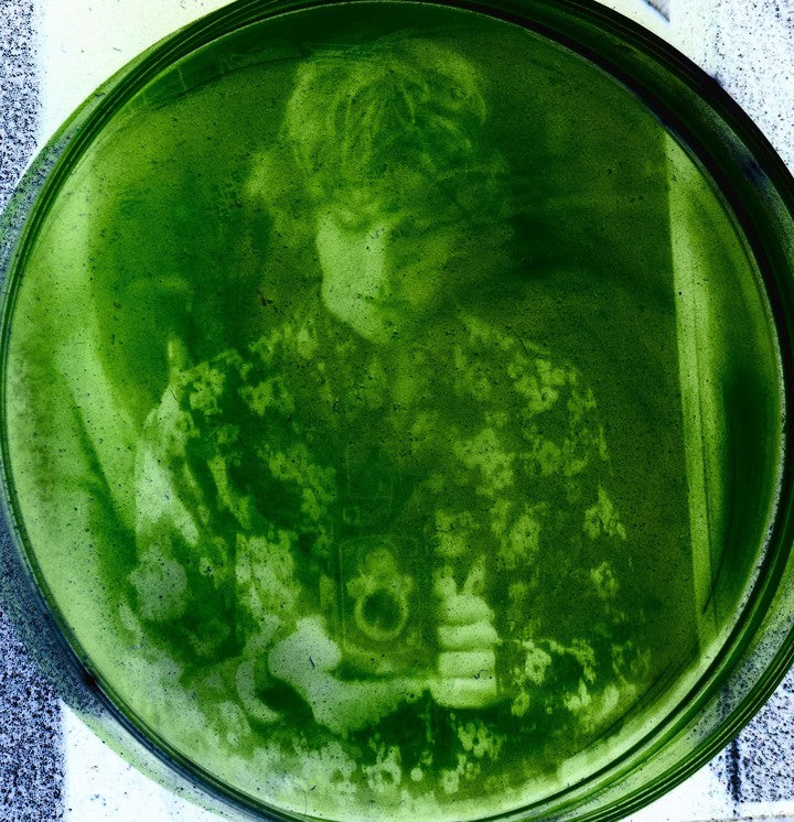 Algae Photo Printing!