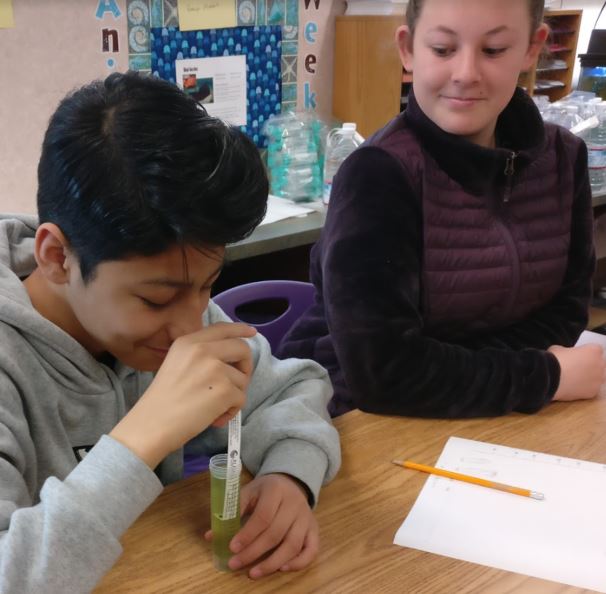 Can I delay delivery until the fall semester?