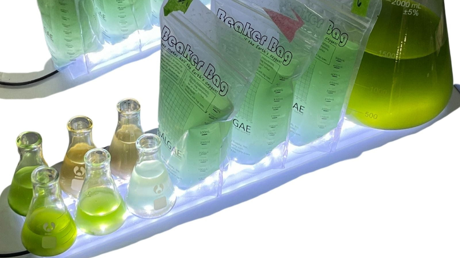 Benchtop Algae Light