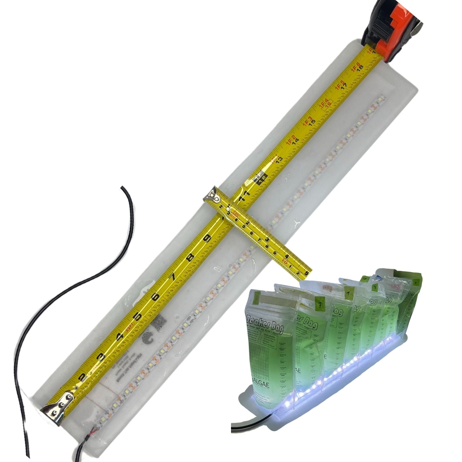 Benchtop Algae Light