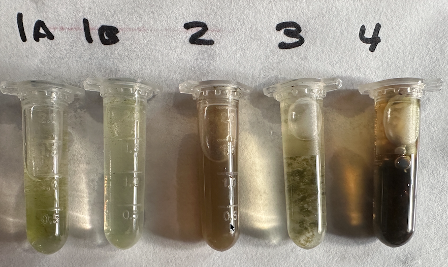 Bioprospecting Freshwater Algae Microbiology Kit