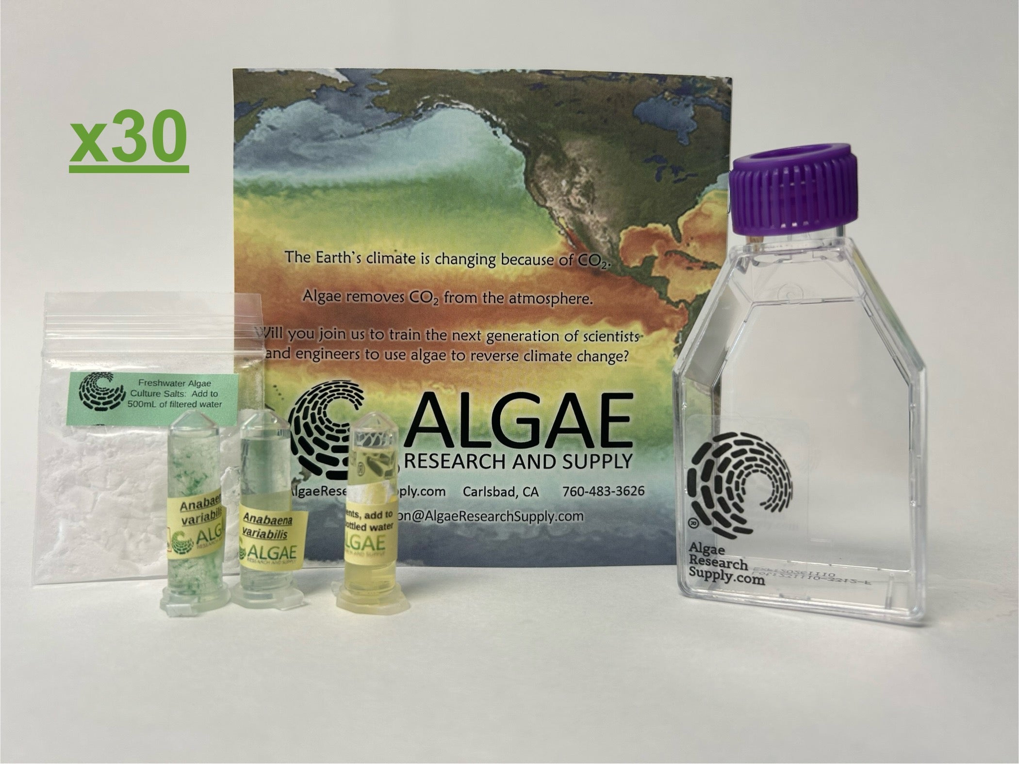 Algae Research Supply: Algae Culture Kit for Anabaena variabilis