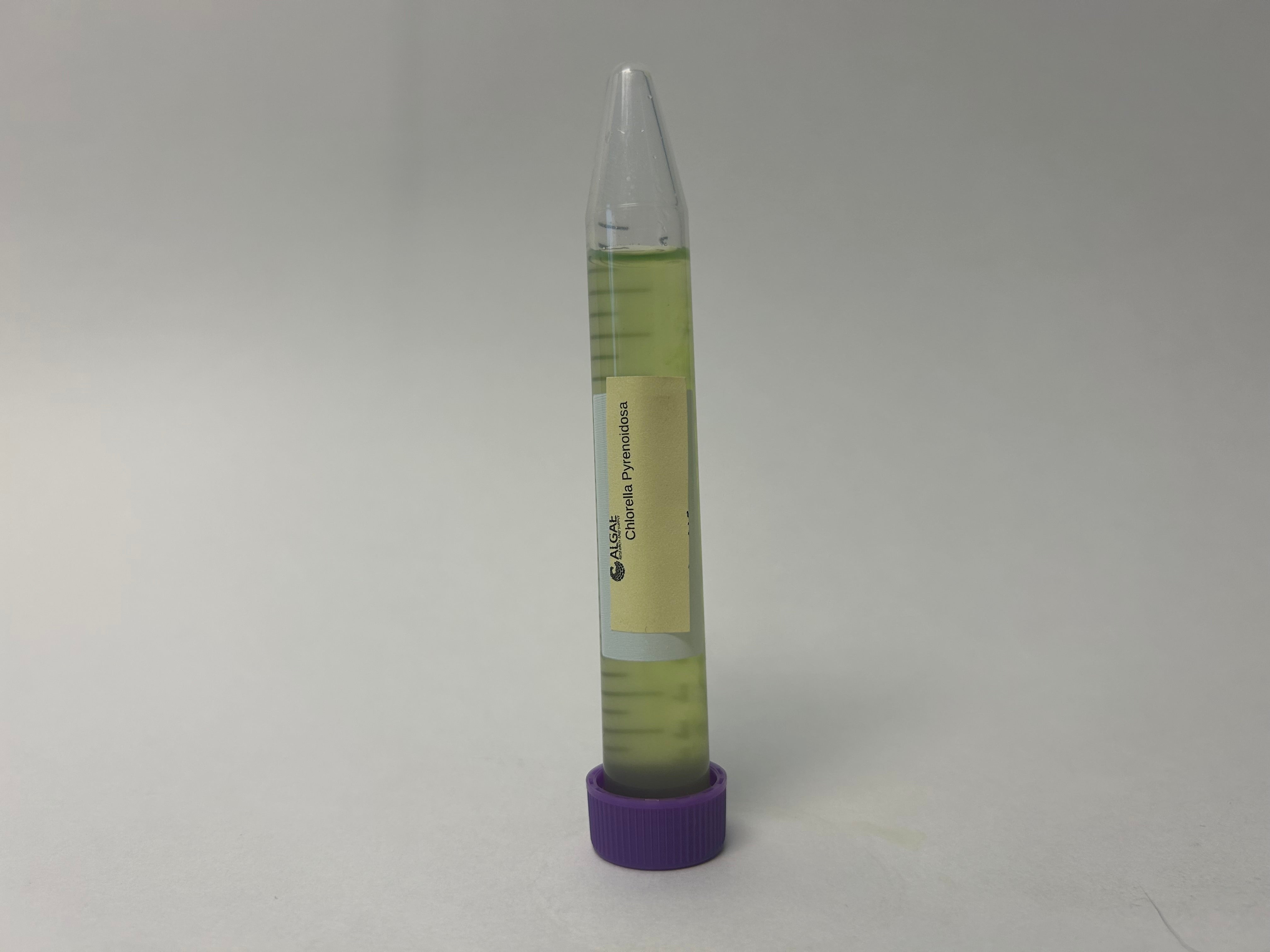 Algae Research Supply: Algae Culture Chlorella pyrenoidosa