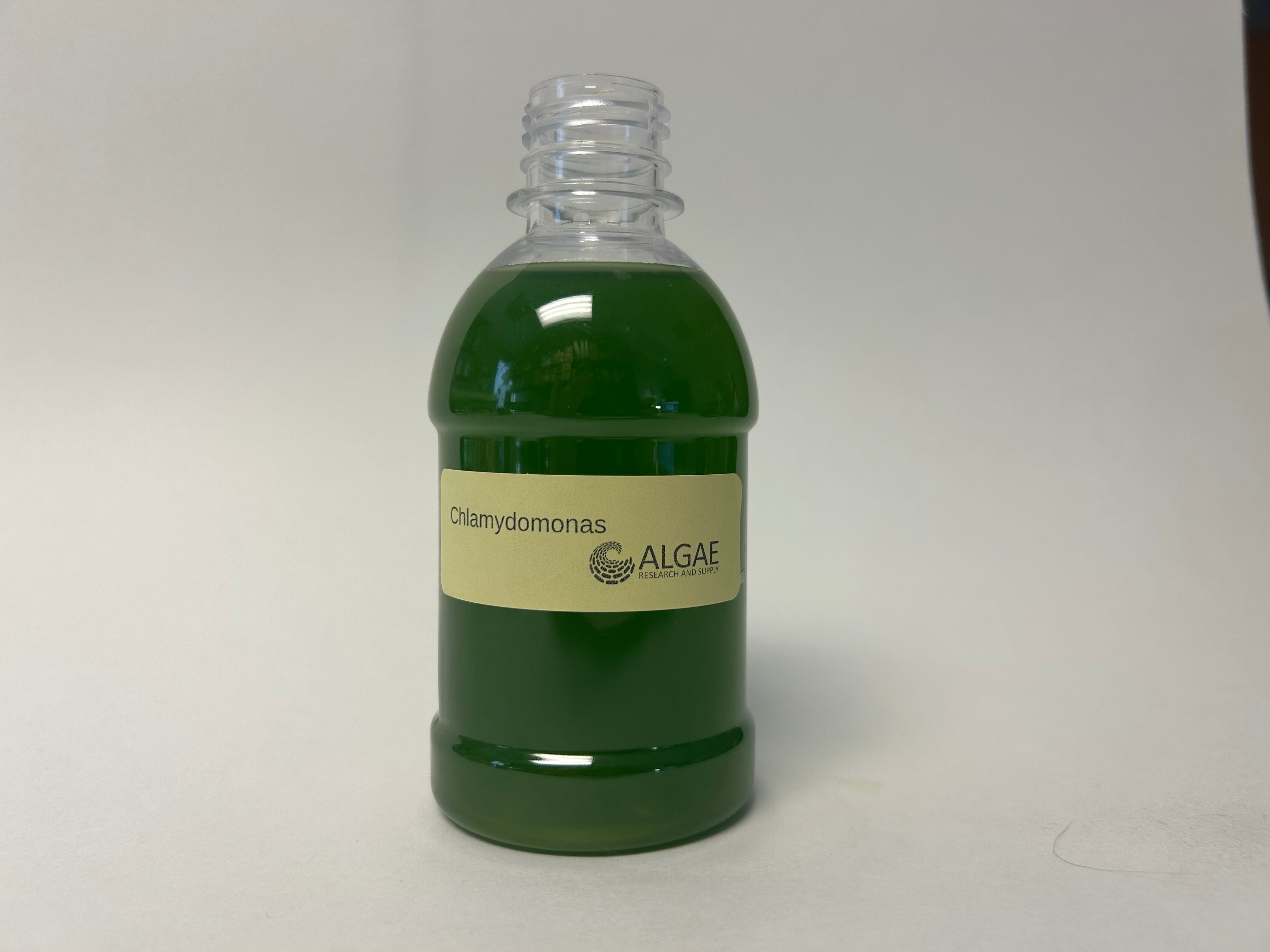 Algae Research Supply: Algae Culture Chlamydomonas sp. (ARS' San Diego Isolate)