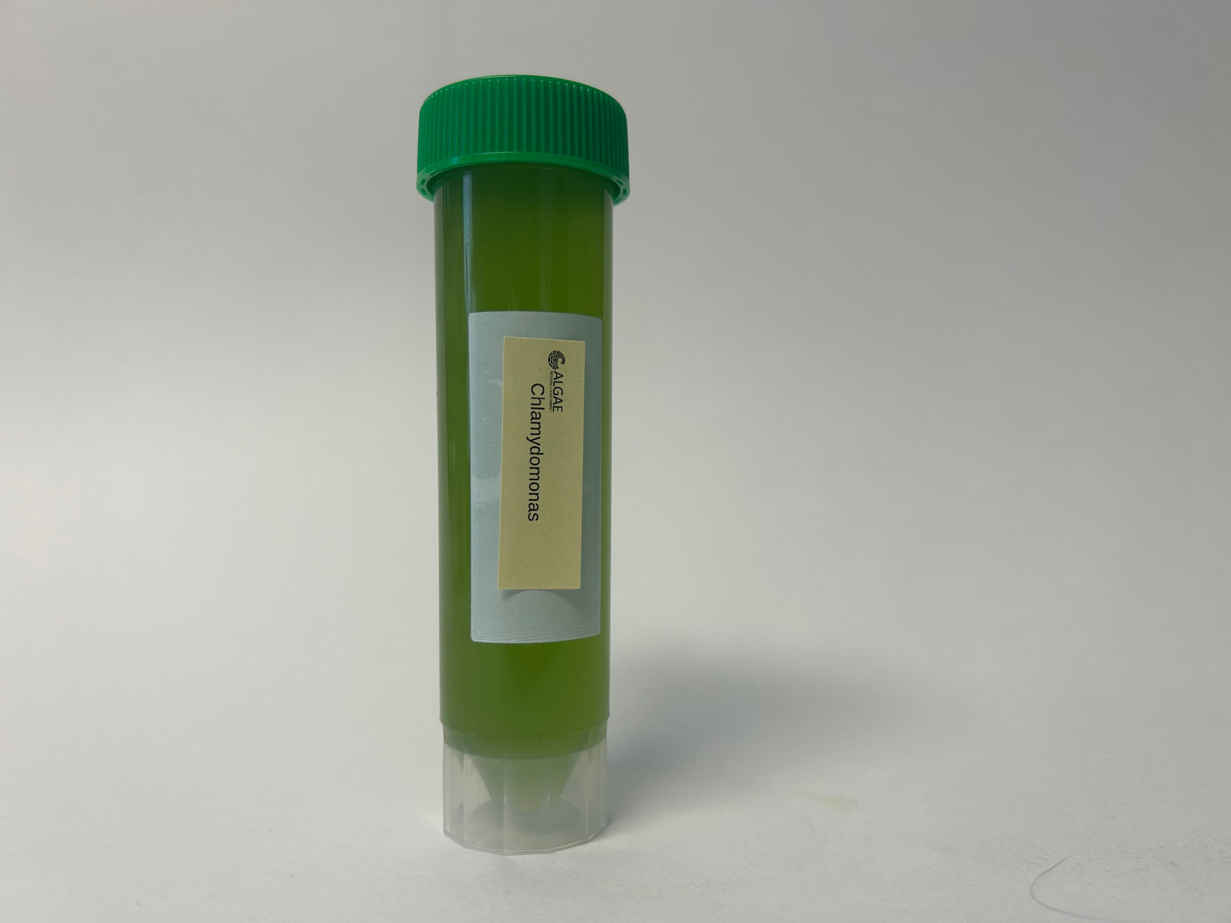 Algae Research Supply: Algae Culture Chlamydomonas sp. (ARS' San Diego Isolate)