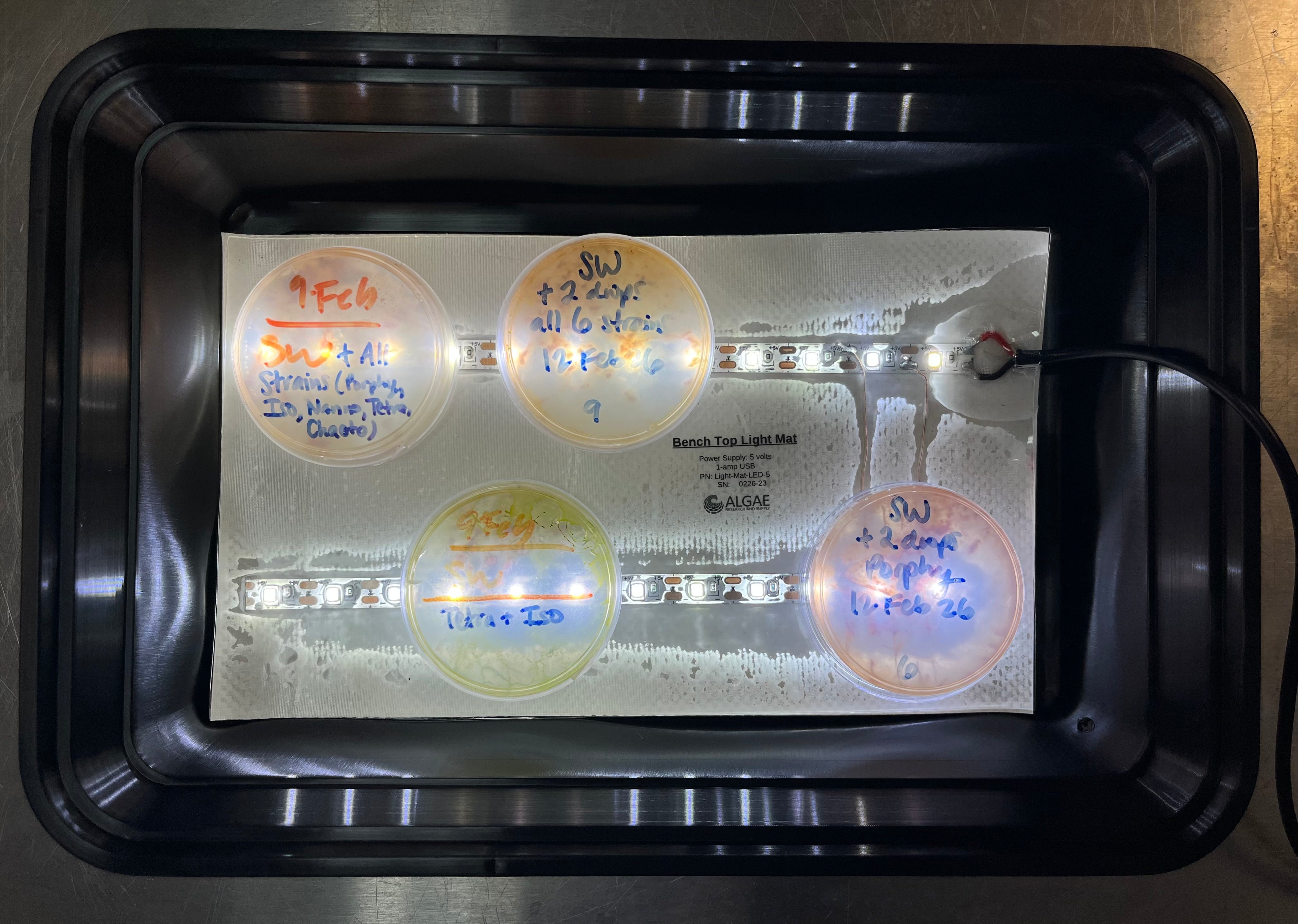 Mixed Marine Microbiology Isolation Kit