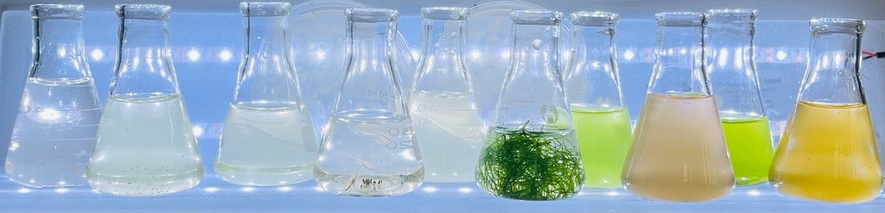 Multi-Trophic Marine Maintenance