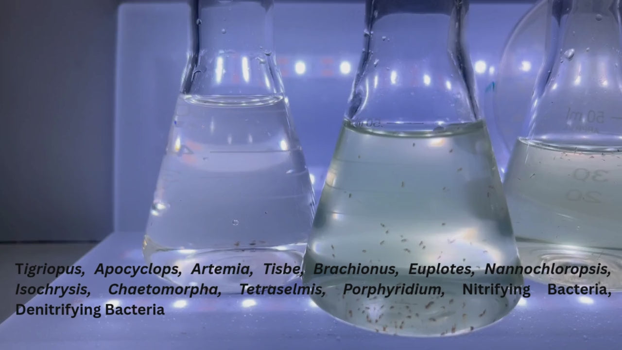 Multi-Trophic Marine Maintenance