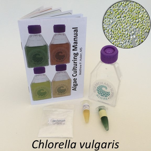 Algae culturing kit for growing the green algae Chlorella vulgaris.