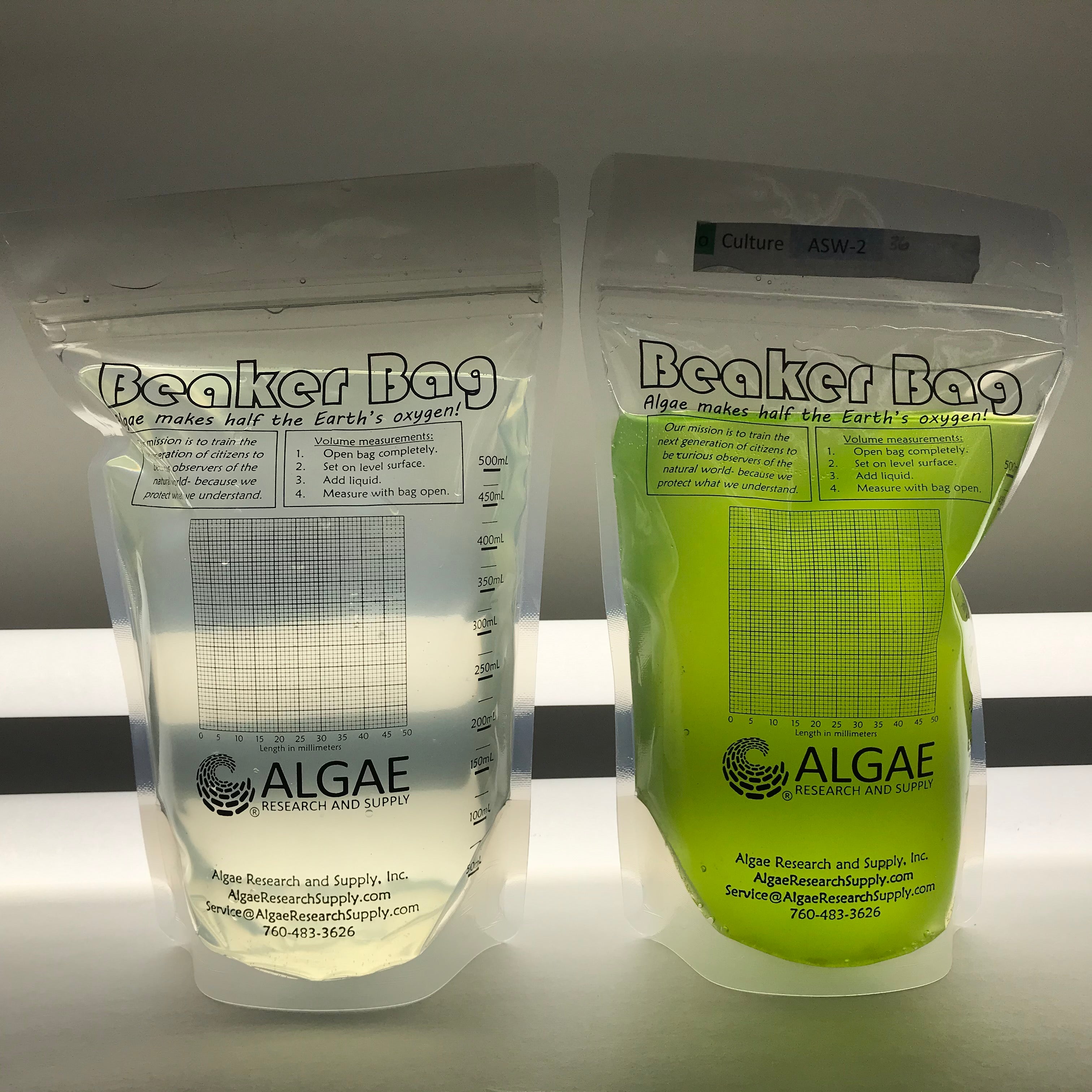 Brainy Briny's in a Beaker Bag: Algae and Brine Shrimp Growing Kit. (K-12, HS, AP-Bio, AP-ES)