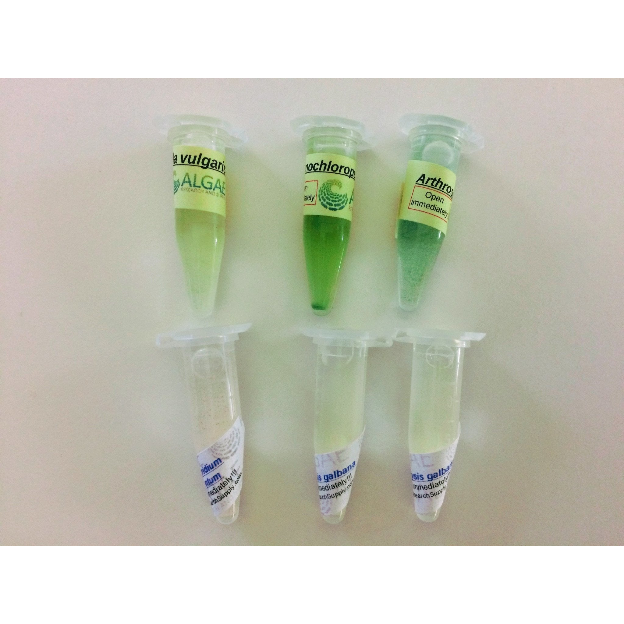 The algae survey kit includes 1.5 ml culture, culture booklet, nutrient media, salts, and a tissue flask.