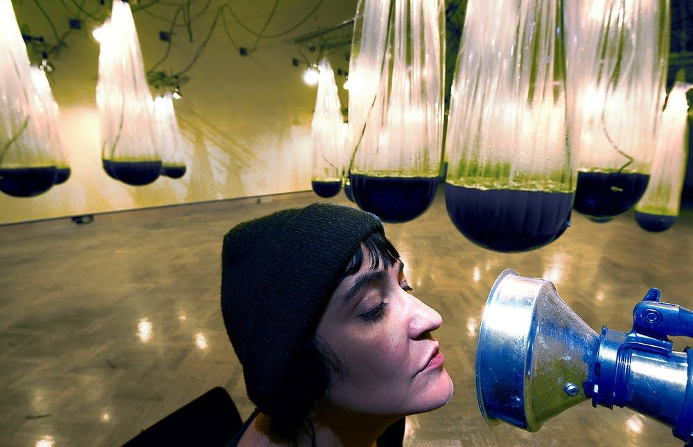 Alison Hiltner's "It Was Tomorrow" Art Project Uses Algae Research Supply Spirulina