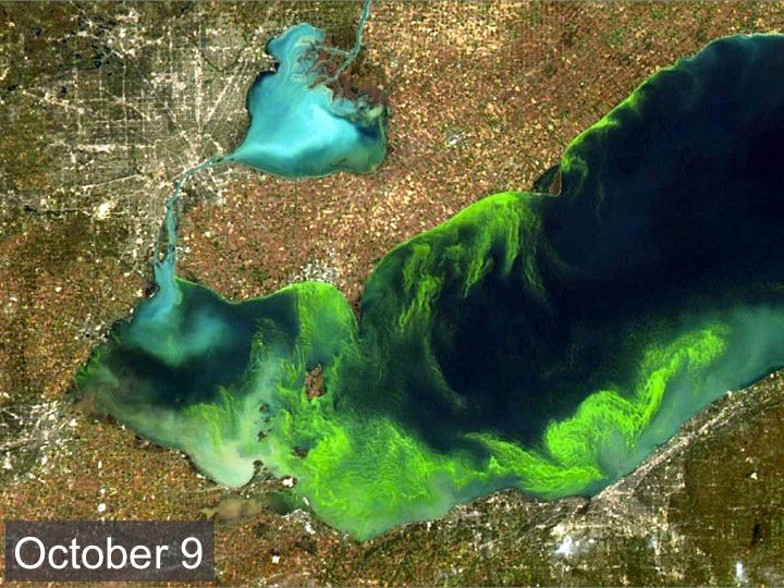 Following Lake Erie's Algae Bloom Season