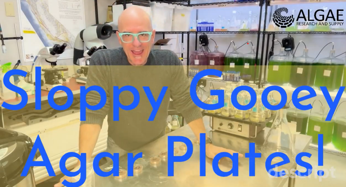 Sloppy Agar Troubleshooting! Using the Scientific Method