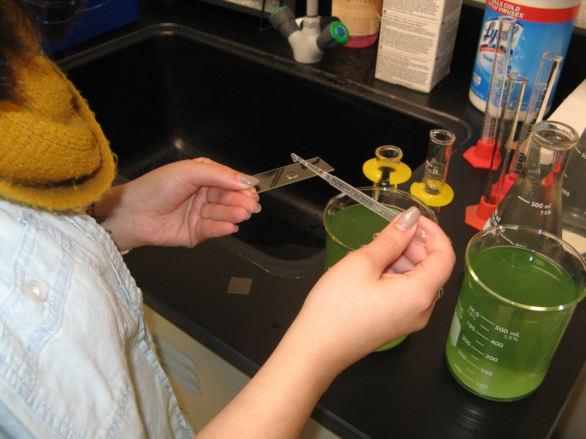 Lassell College Algae Open Lab Projects  (2-weeks of investigation)