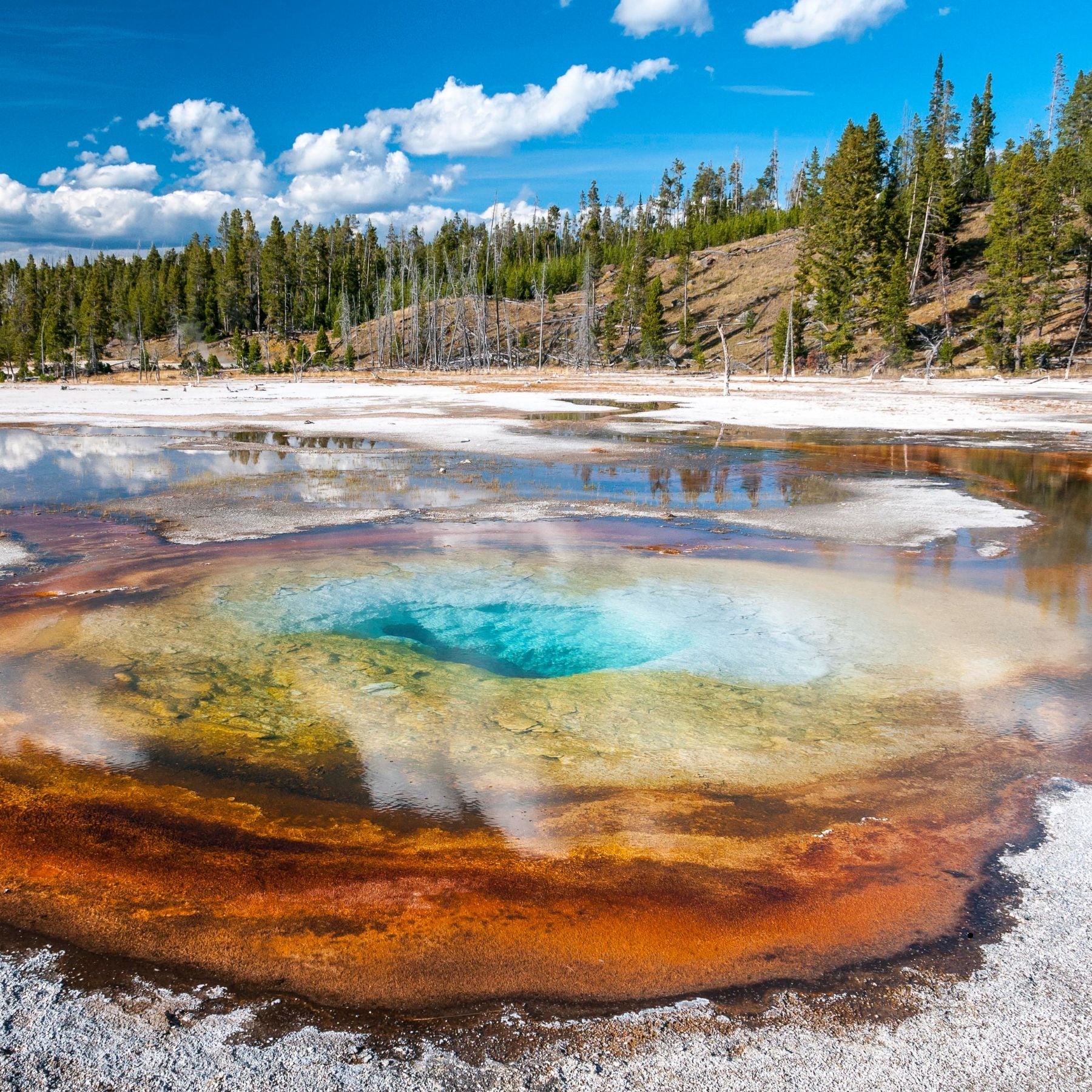 Extremophiles