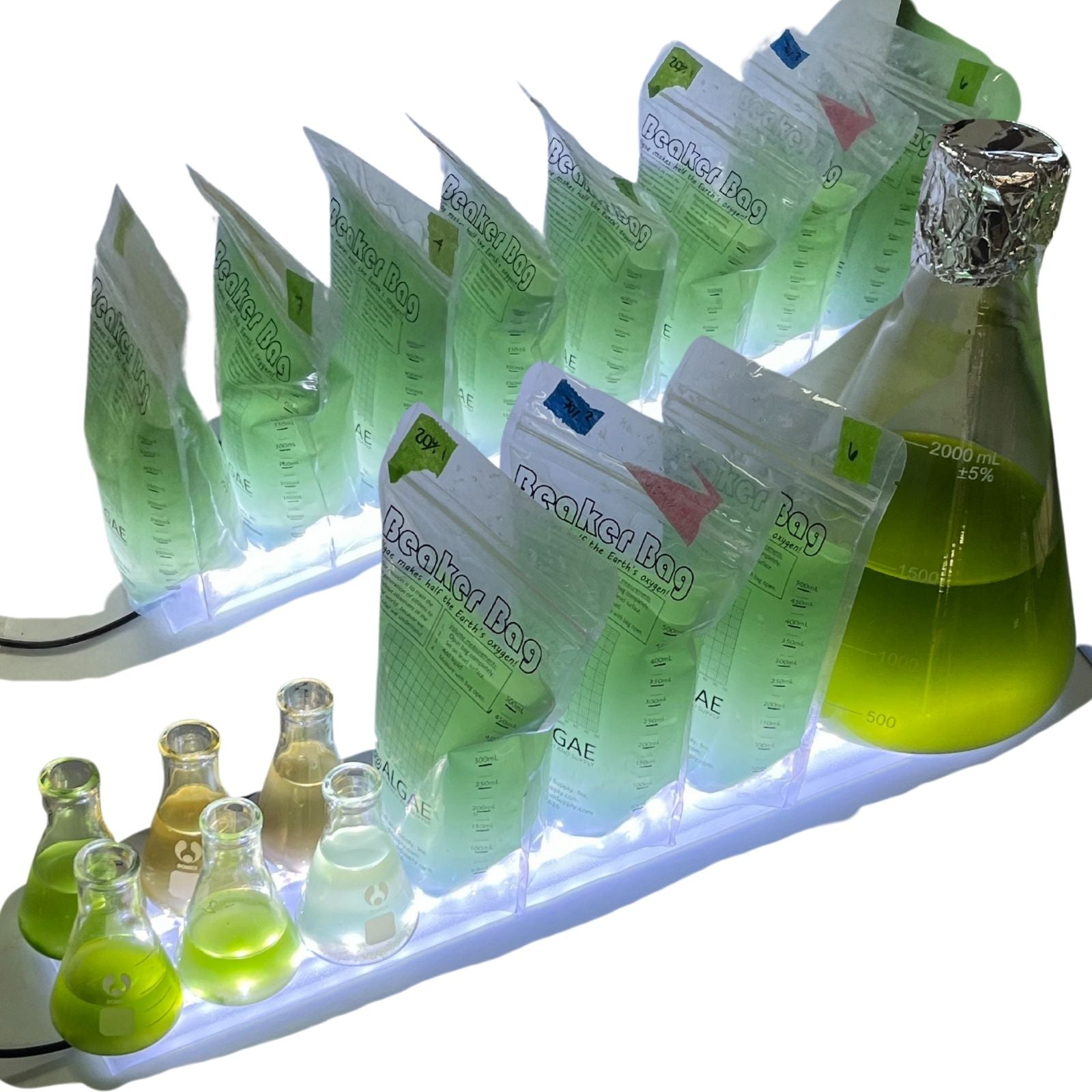 Benchtop Algae Light