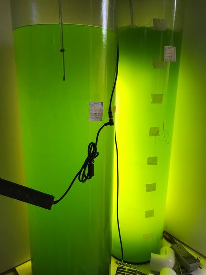AlgaeLight Drop In Photo-Bio-Reactor
