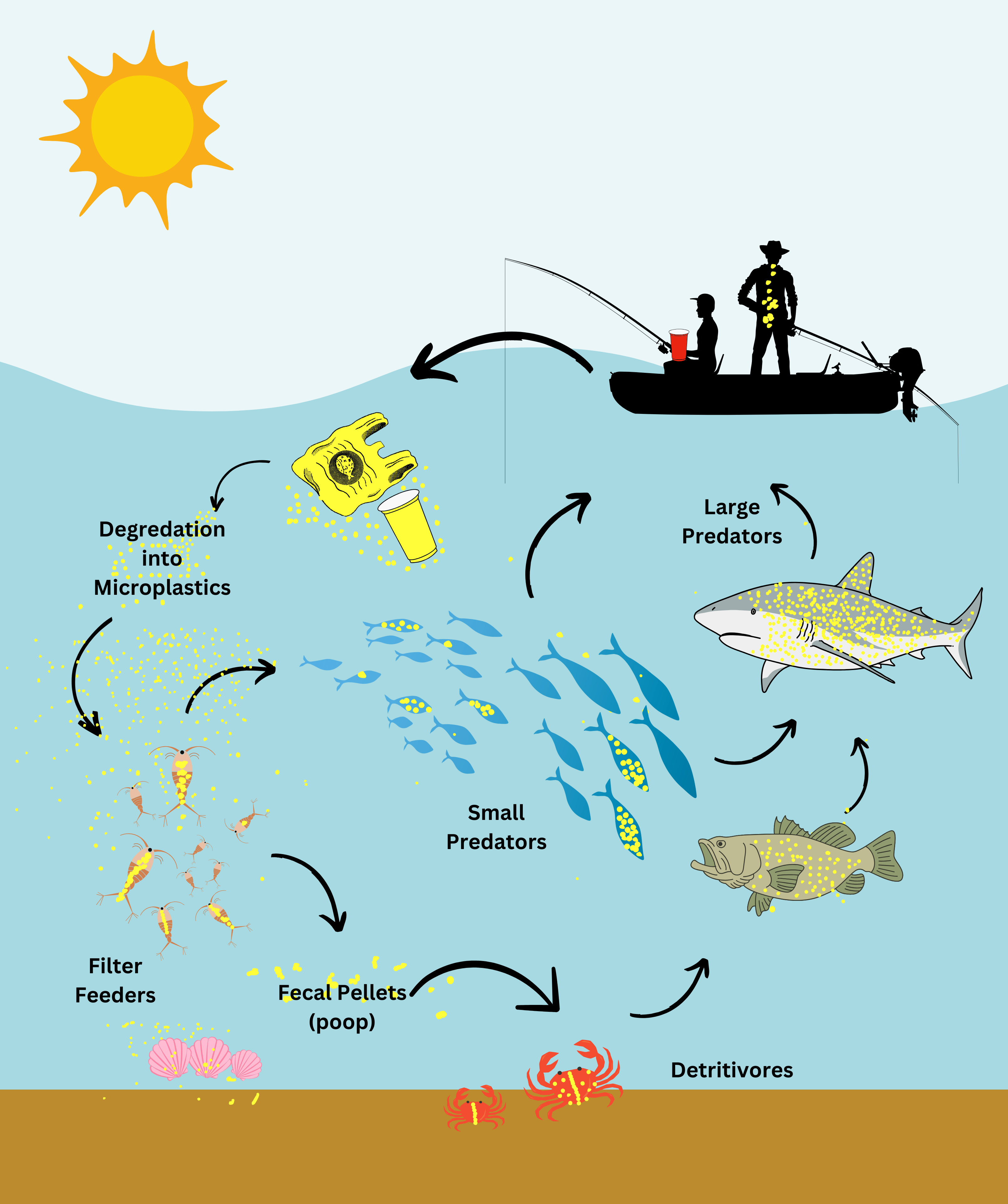 Brainy Briny Fake Fluorescent Food:  Microplastic zooplankton bioaccumulation using brine shrimp