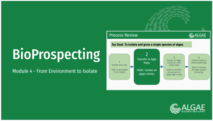 Bioprospecting Kit Slide Deck - Module 4 - From Environment to Isolate