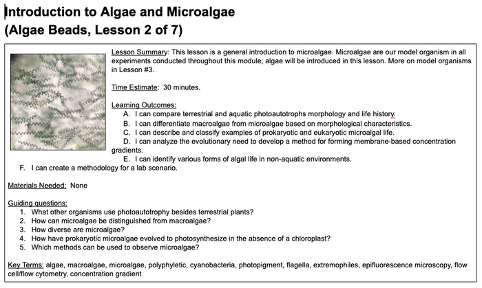 Algae Beads - Introduction to Algae and Microalgae