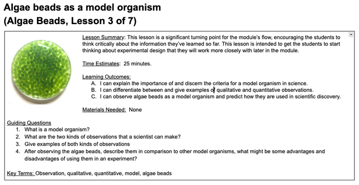 Algae Beads - as a model organism