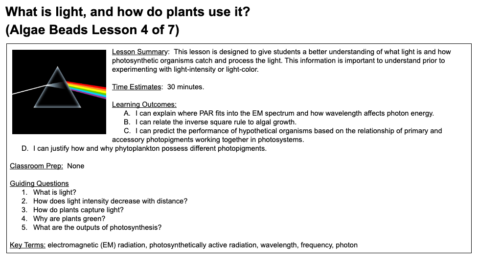 Algae Beads - What is light and how do plants use it?
