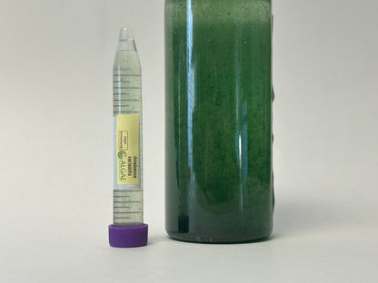 Algae Research Supply: Algae Culture Anabaena variabilis