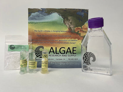 Algae Research Supply: Algae Culture Kit for Anabaena variabilis