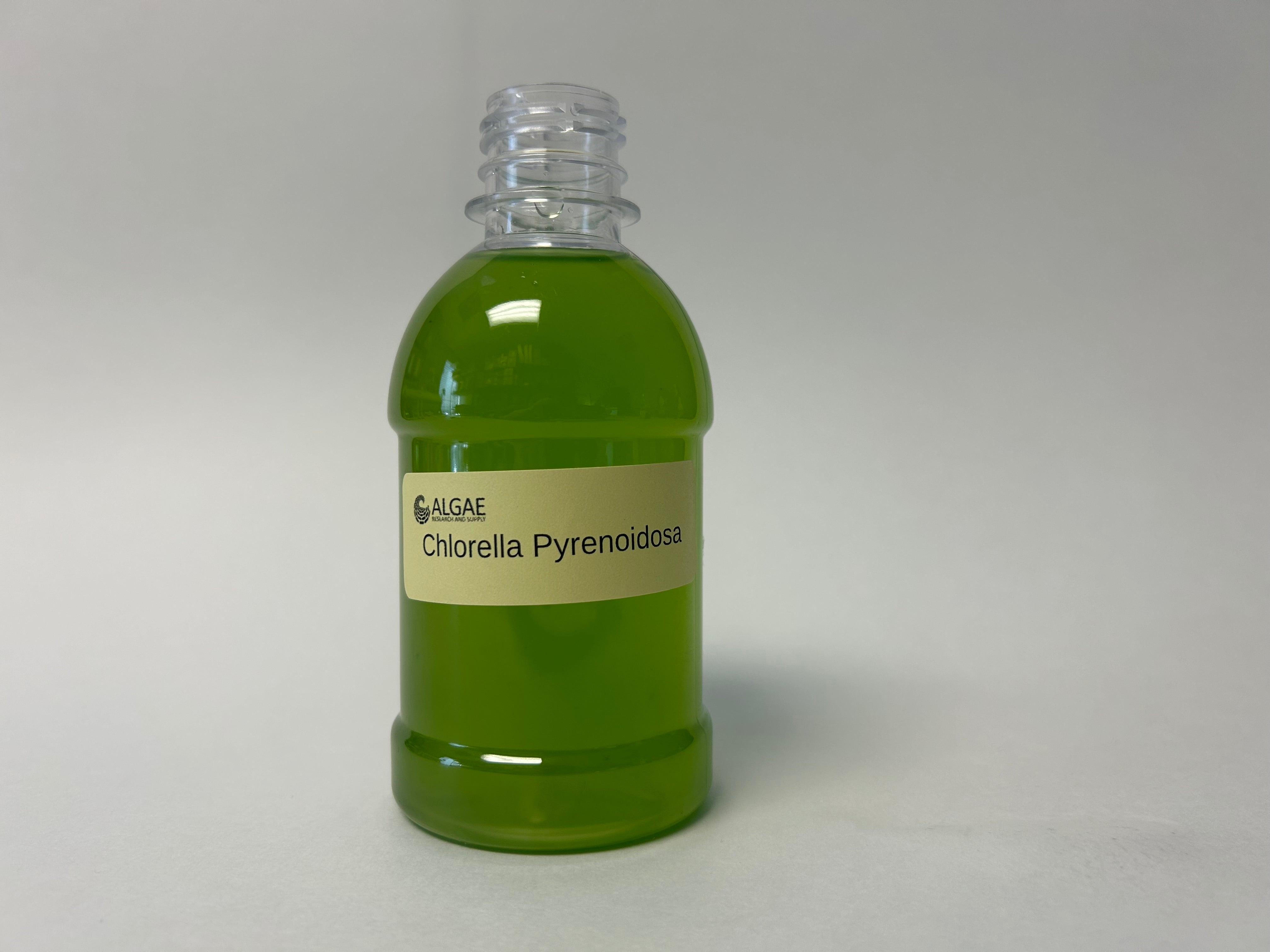 Algae Research Supply: Algae Culture Chlorella pyrenoidosa