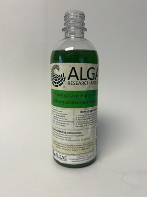 Algae Research Supply: Algae Culture Chlamydomonas reinhardtii