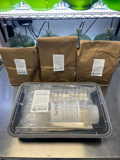 Bioprospecting Freshwater Algae Microbiology Kit