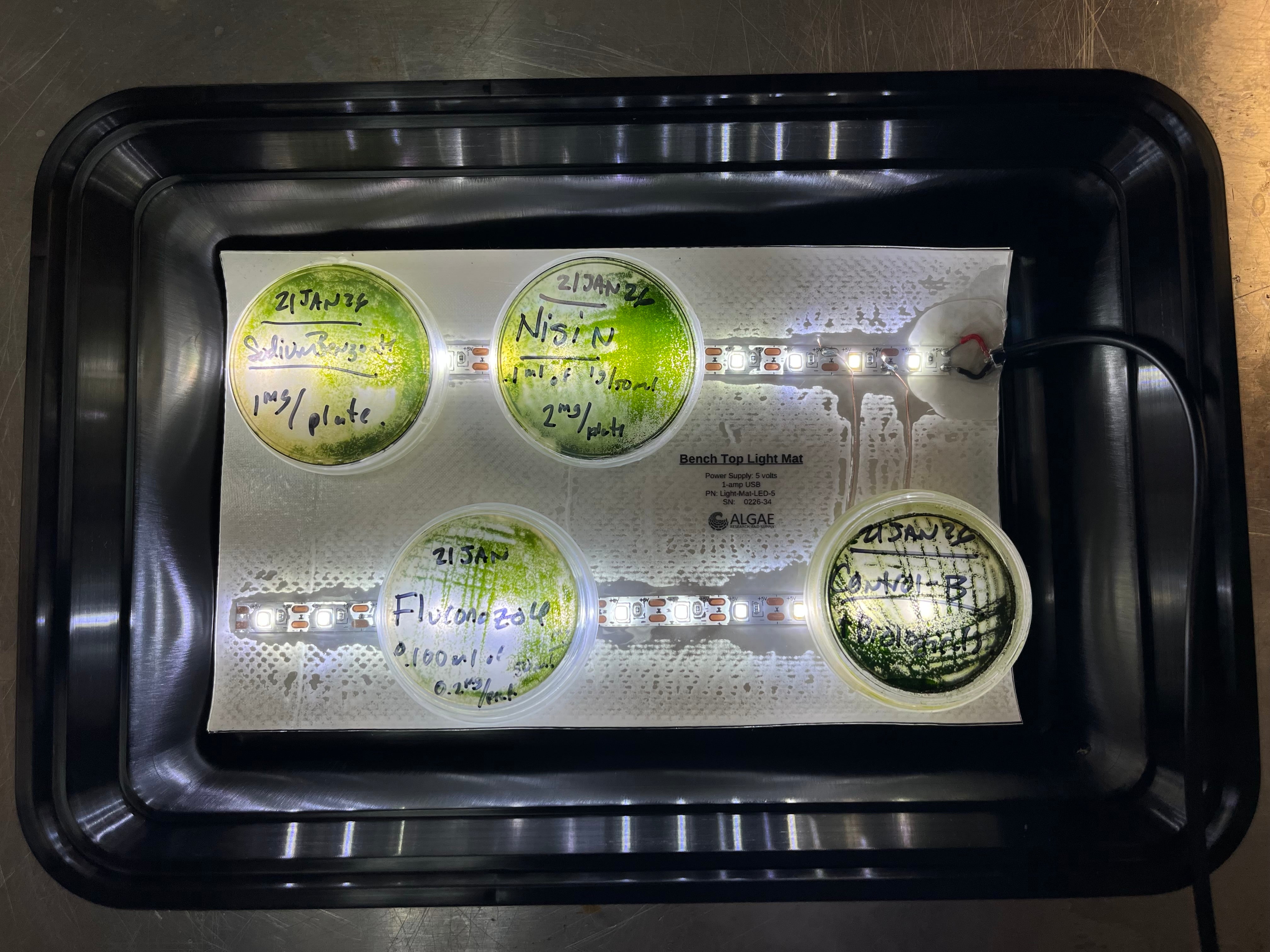 Bioprospecting Freshwater Algae Microbiology Kit