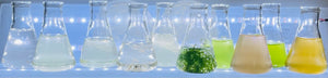 Multi-Trophic Marine Maintenance
