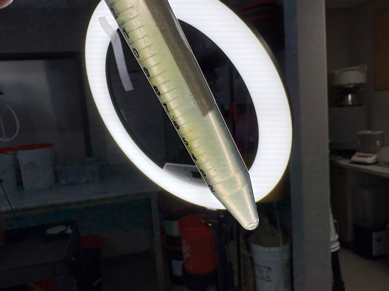 Algae as Microbiology TEST v0.2