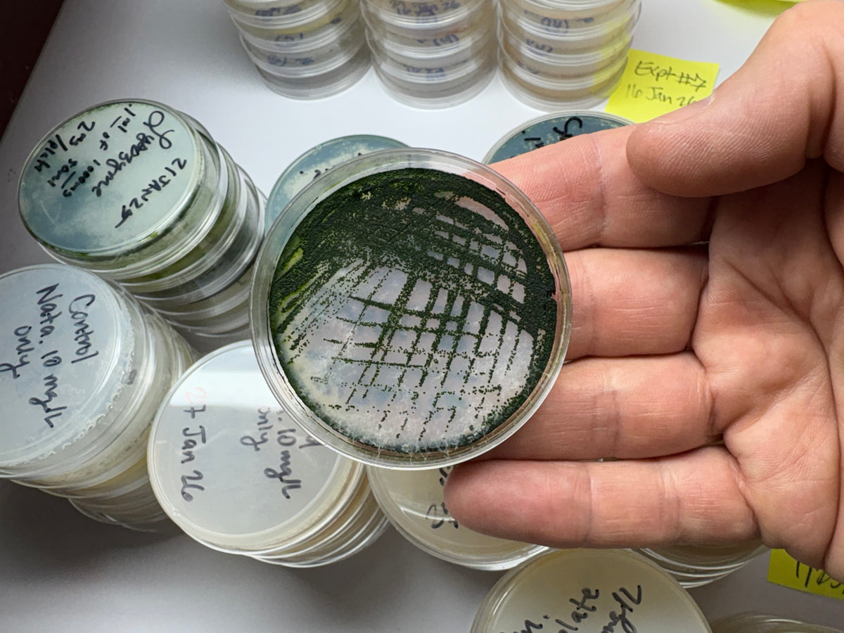Algae Research Supply