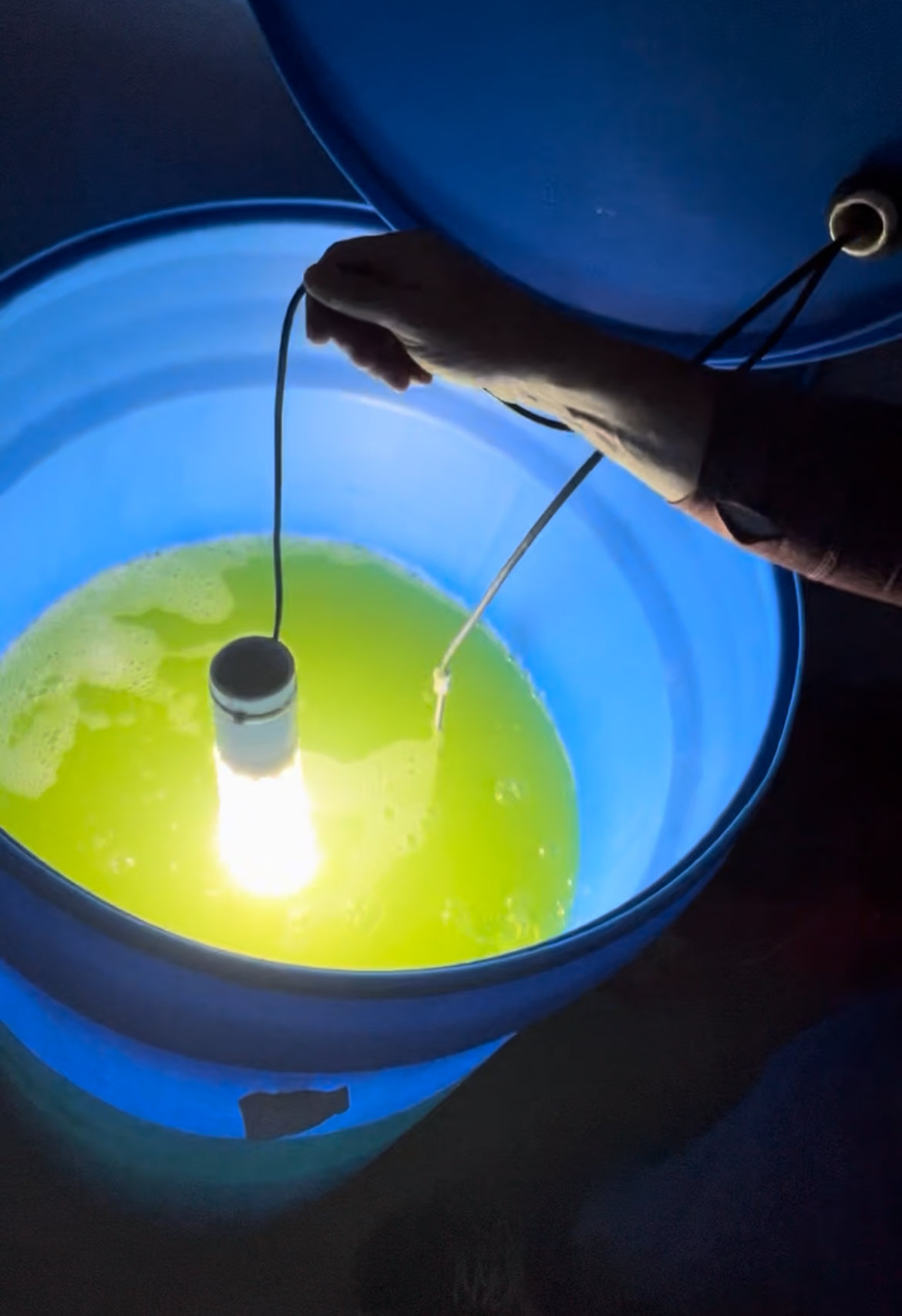 AlgaeLight Drop In Photo-Bio-Reactor