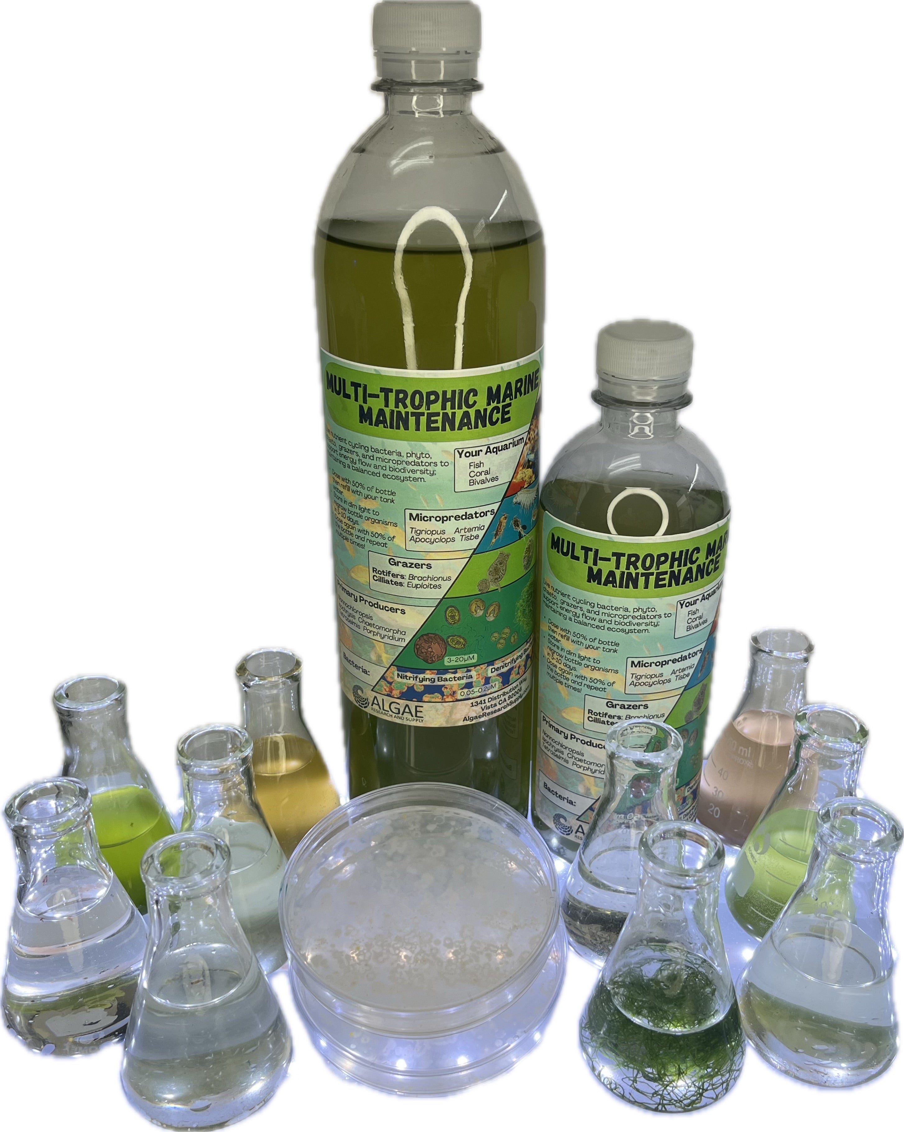 Multi-Trophic Marine Maintenance