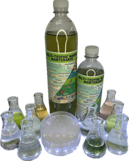 Multi-Trophic Marine Maintenance