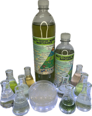 Multi-Trophic Marine Maintenance