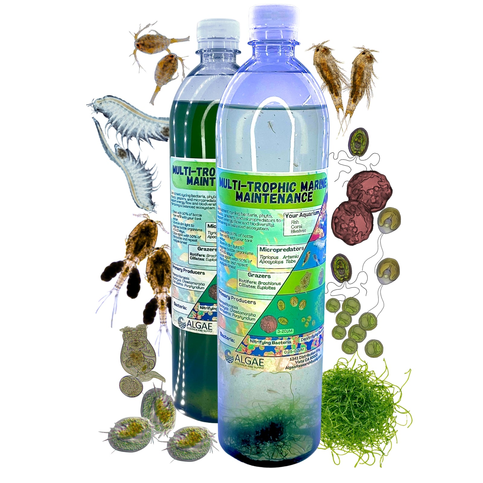Multi-Trophic Marine Maintenance