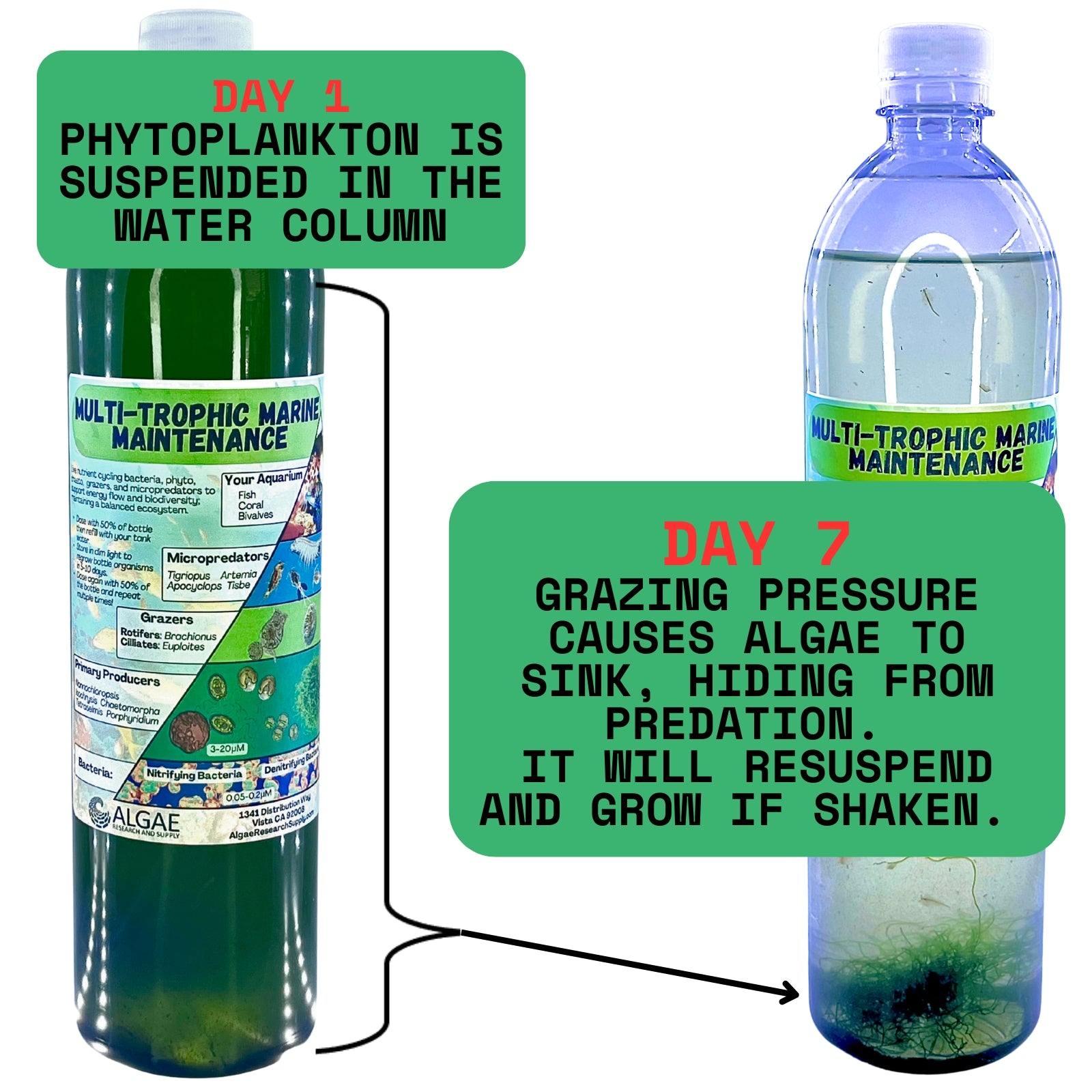 Multi-Trophic Marine Maintenance