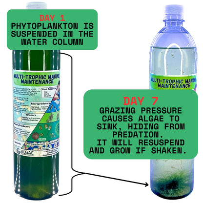 Multi-Trophic Marine Maintenance