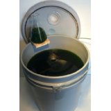 A 5-gallon bucket of Arthrospira platensis other wise known as Spirulina.  