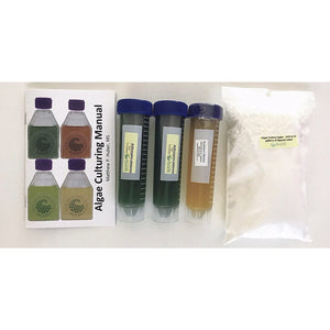 Algae Research Supply: Algae Culture Kit for Chlorella vulgaris